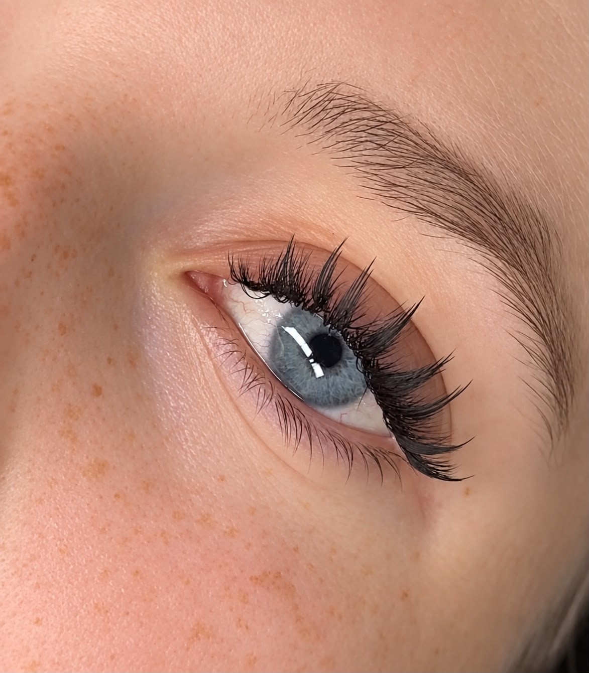Blaues Auge mit leichtem Wimpernset und gepflegter Augenbraue